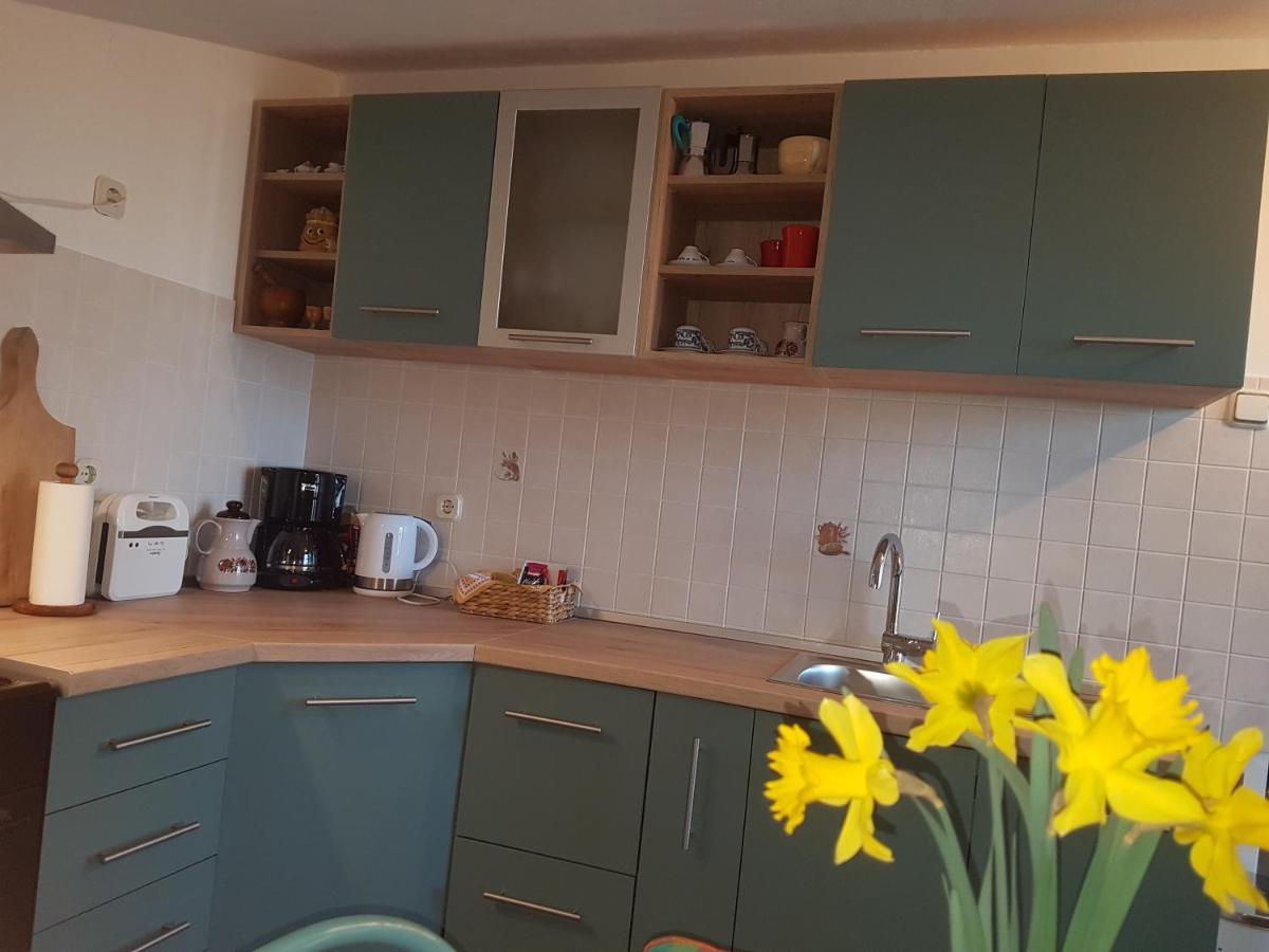 Apartments Dandolo Ровин Екстериор снимка