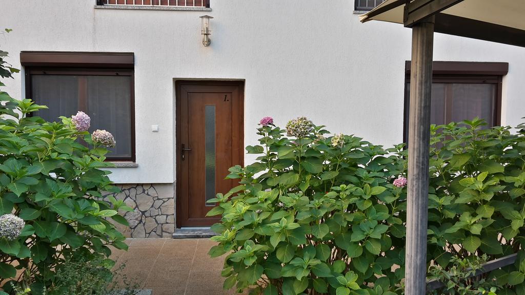 Apartments Dandolo Ровин Екстериор снимка